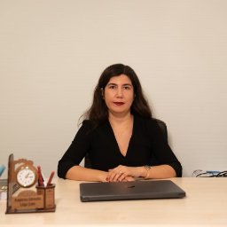Yıldırım, Lizge