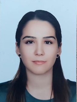 Çelik, Hayriye